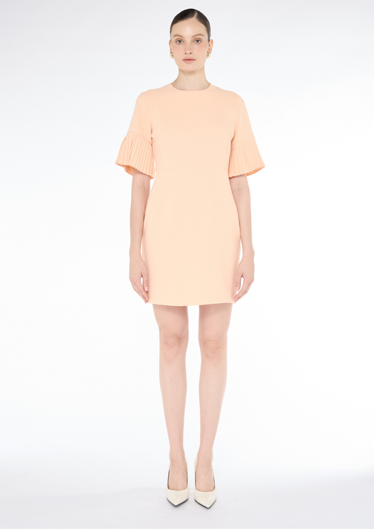 Pleated Sleeve Mini Dress